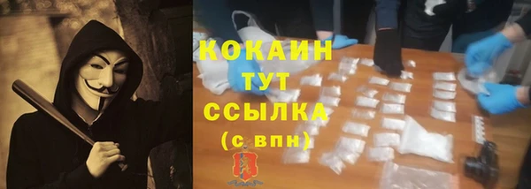 дмт Арсеньев