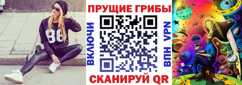 Галлюциногенные грибы MAGIC MUSHROOMS  Фролово 