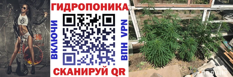 Бошки Шишки план  купить наркоту  Фролово 